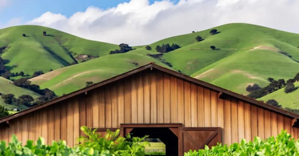 Avila Valley Barn
