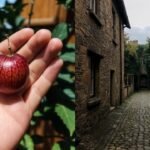 Conversion Rate Optimization